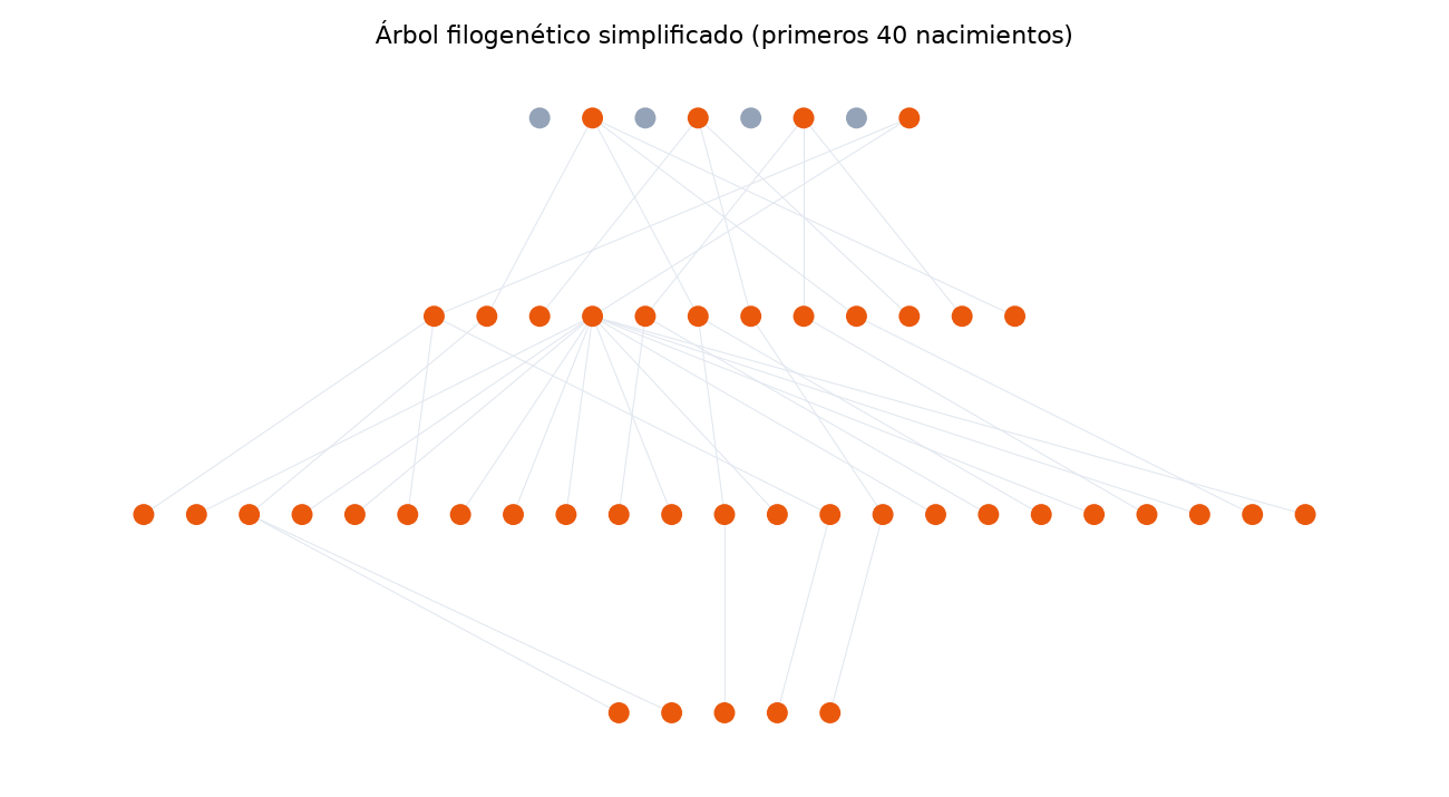 Árbol filogenético simplificado de los primeros 40 nacimientos